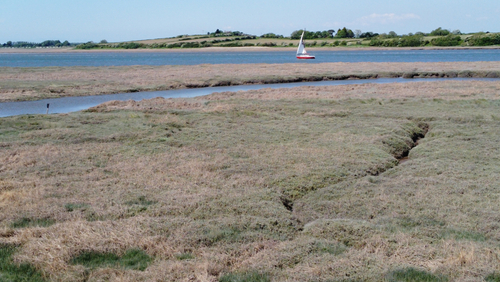 river Wyre