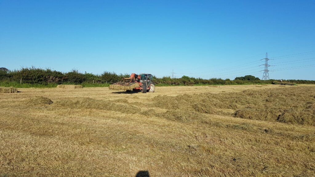 Hay Making on our field next to our 5 star holiday accommodation